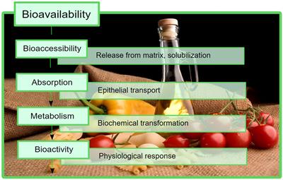 Bioaccessibility and bioactive potential of different phytochemical classes from nutraceuticals and functional foods